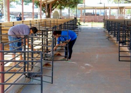 Expogrande come&ccedil;a a ganhar forma com montagem de estandes e palco