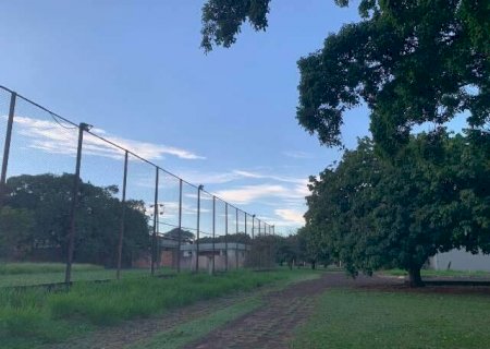 Calor intenso, baixa umidade e risco de chuva marcam o in&iacute;cio da semana