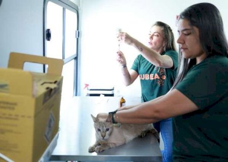 Consult&oacute;rio m&oacute;vel inicia atendimentos gratuitos a c&atilde;es e gatos nesta segunda