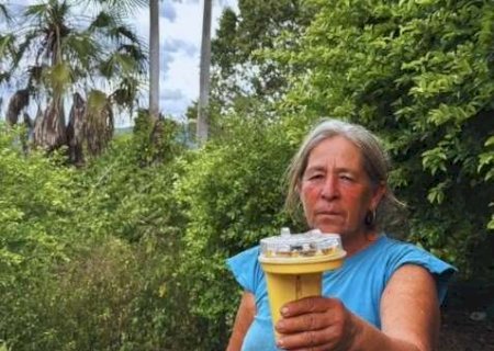 Luz afasta on&ccedil;as e reduz ataques a animais em assentamento no Pantanal