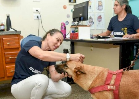 Consult&oacute;rio m&oacute;vel atende pets no Jardim Novos Estados at&eacute; sexta