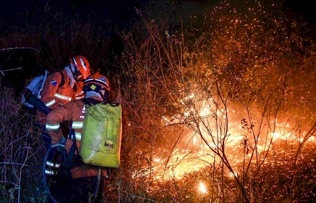 Curso gratuito abre vagas para combate a inc&ecirc;ndios florestais