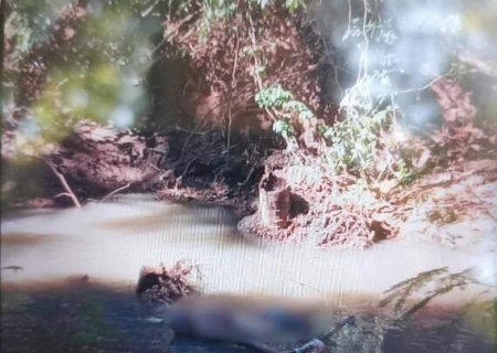 Homem encontra corpo com marcas de tiro em c&oacute;rrego durante pescaria