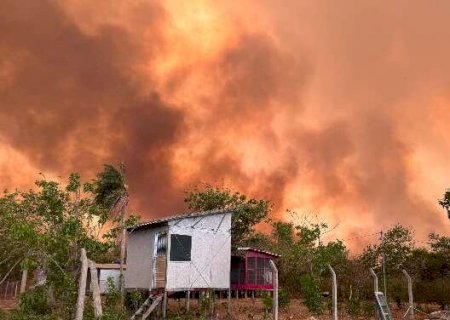 Com alerta a cada 10 minutos, toda queimada no Pantanal ser&aacute; investigada