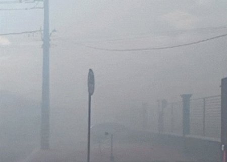 Temporada do fogo come&ccedil;a e inc&ecirc;ndio em &aacute;rea verde cobre condom&iacute;nio com fuma&ccedil;a