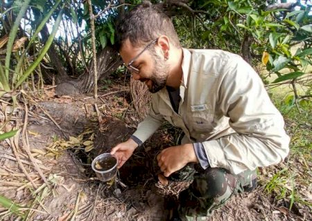 Tocas de tatu-canastra viram ref&uacute;gio para r&atilde;s durante seca no Pantanal