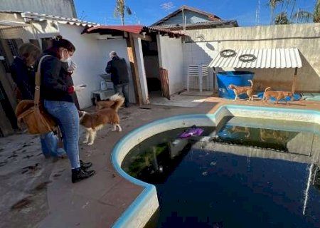 Dois anos ap&oacute;s pris&atilde;o de cuidadora, abrigo ter&aacute; bens bloqueados por maus-tratos