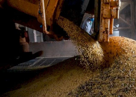 Economia brasileira cresce 1,1% no 1º trimestre