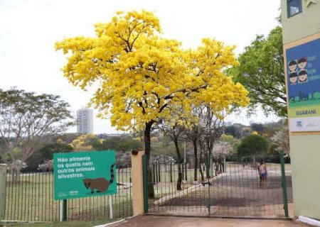 Parque das Na&ccedil;&otilde;es ter&aacute; vacina&ccedil;&atilde;o contra a gripe neste s&aacute;bado