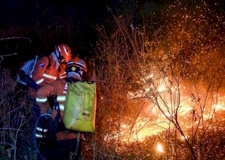 Curso gratuito abre vagas para combate a inc&ecirc;ndios florestais