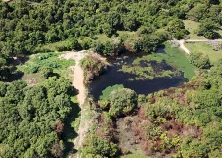 Projeto prev&ecirc; cria&ccedil;&atilde;o de Parque Zoobot&acirc;nico em antiga &aacute;rea de conserva&ccedil;&atilde;o