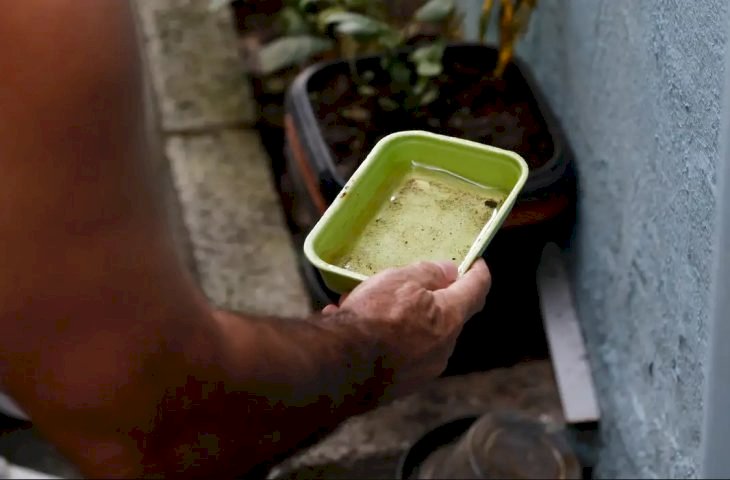 LIRAa aponta necessidade de reforçar combate à dengue em Coronel Sapucaia