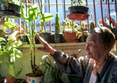 Ant&ocirc;nia reza para suas plantas que por anos n&atilde;o vingaram no Sert&atilde;o
