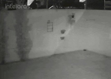 Rato morto, tesoura e lixo: mulher relata 3 anos de conflitos com vizinhos