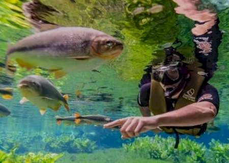 Bonito recebeu, em m&eacute;dia, 1 turista a cada 2 minutos em 2026