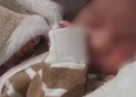 &ldquo;Minha filha n&atilde;o &eacute; monstro&rdquo;, defende pai de presa por maus-tratos a beb&ecirc;