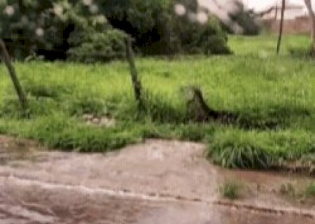 Per&iacute;cia vai definir origem de vazamento em &aacute;rea de enchente na Ernesto Geisel
