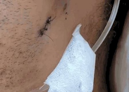 &ldquo;Pedi para cuidar do meu filho&rdquo;, diz sargento baleado ao pensar que morreria