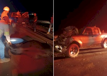 Seis vacas morrem ao serem atropeladas por picape na BR-163