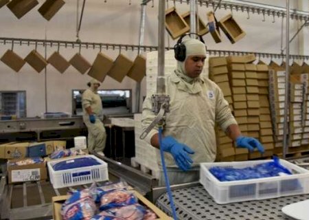 Exporta&ccedil;&otilde;es industriais de MS batem recorde puxadas pelo setor frigor&iacute;fico