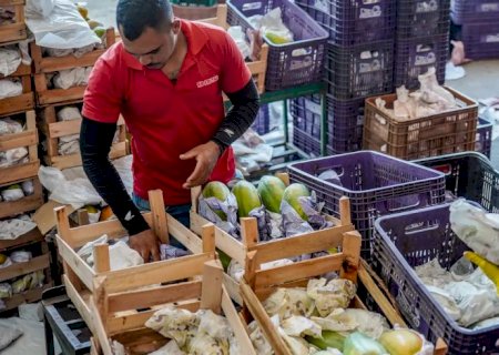 Governo anuncia crédito de R$ 97,3 bi para agricultores familiares