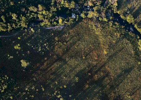 Financiamentos de projetos rurais sustentáveis terão juros mais baixos