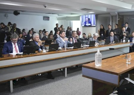 Pedido de vista adia votação da Política de Minerais Críticos