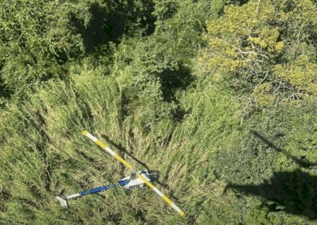 Piloto que saiu de MS &eacute; preso com quase 300 quilos de coca&iacute;na em avi&atilde;o