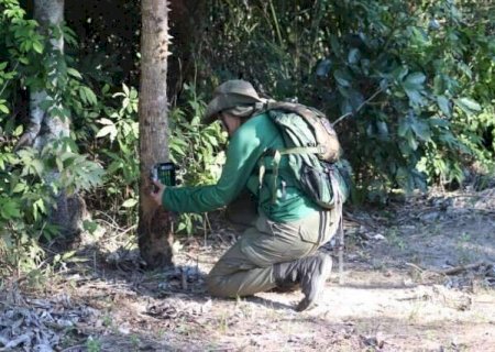 Monitoramento na Serra do Amolar registra raro casal de tatu-bola