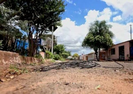 Adriane veta lei aprovada por vereadores sobre cuidado com fia&ccedil;&atilde;o