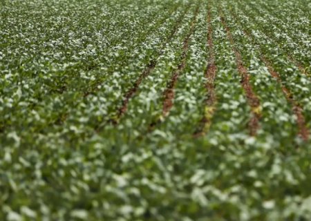 Entenda impasse entre bancada do agro e governo sobre dívidas rurais