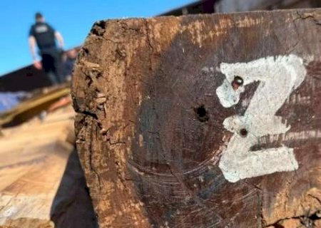 Laudo preliminar indica que maior apreens&atilde;o de coca&iacute;na pode n&atilde;o ter existido