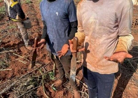 Fazendas de MS v&atilde;o pagar R$ 1,7 milh&atilde;o em danos morais por trabalho escravo