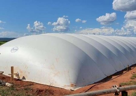 MS j&aacute; tem projetos em mercado de carbono que pode movimentar R$ 2,36 bilh&otilde;es