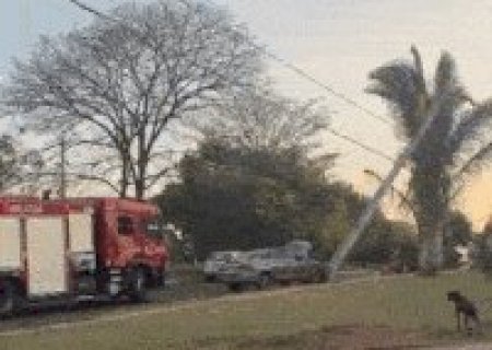 Virtus derruba poste, corta energia e vira 2&ordm; caso em 24 horas