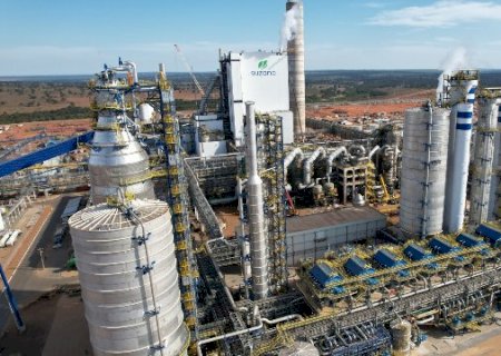 Lucro da Suzano cai 58% no trimestre e MS ganha peso no volume de produ&ccedil;&atilde;o