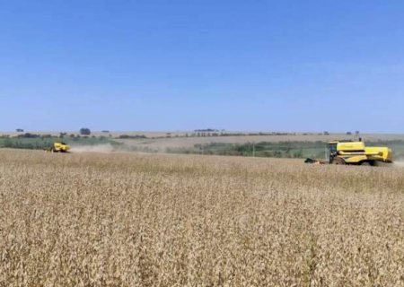 Recupera&ccedil;&atilde;o judicial no agro cresce 22% e MS soma 38 pedidos