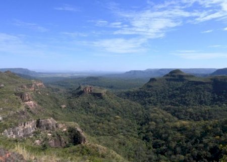 Pantanal reduz desmatamento em 65% e Cerrado tem queda de 11,5%