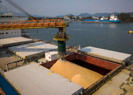 Super&aacute;vit comercial de MS cresce 17,8% com alta das exporta&ccedil;&otilde;es