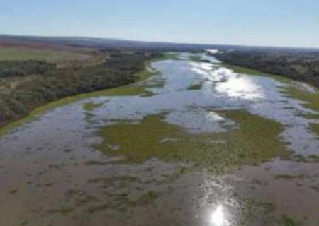 Falhas em f&aacute;brica de celulose e esgoto n&atilde;o tratado "sufocam" o Rio Pardo