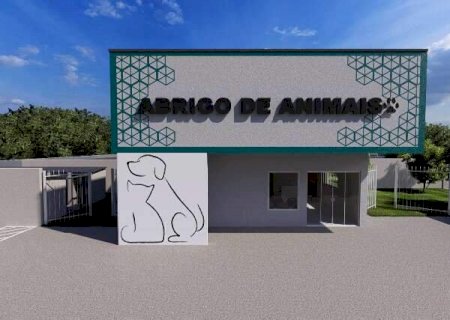 Prefeitura autoriza cria&ccedil;&atilde;o de 1&ordm; abrigo municipal para animais de MS