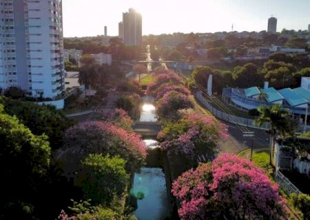 Ir embora ou ficar: quais s&atilde;o seus planos para viver em Campo Grande?