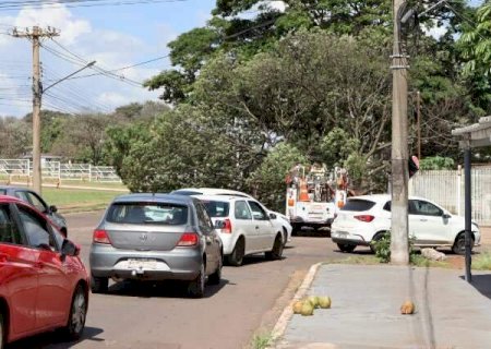 &Aacute;rvore cai, bloqueia avenida e deixa com&eacute;rcio sem energia em Campo Grande
