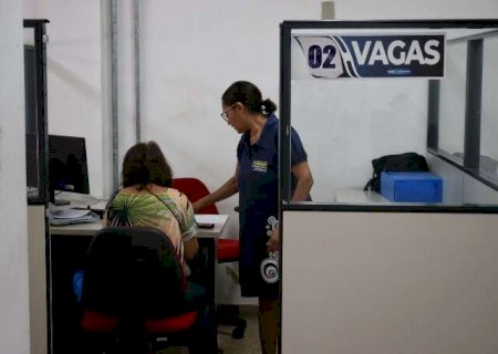 De curr&iacute;culo a curso gratuito, veja onde desempregado consegue ajuda na Capital