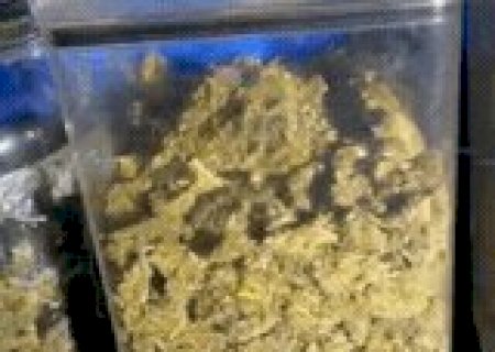Preso por fazer &ldquo;disk droga&rdquo;, jovem j&aacute; havia sido condenado pelo mesmo crime