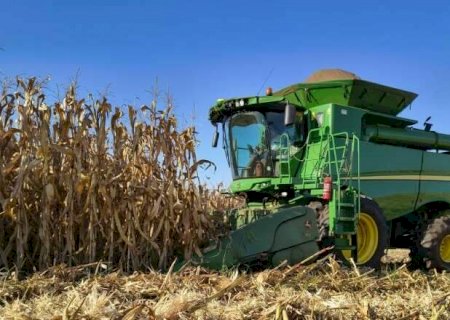 Colheita do milho termina nas regi&otilde;es Norte e Centro e deixa MS perto de 100%