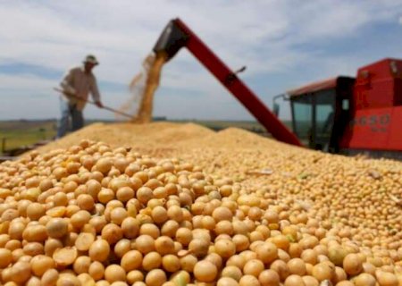 MS &eacute; 5&ordm; na produ&ccedil;&atilde;o de soja do Brasil e Maracaju retoma lideran&ccedil;a estadual