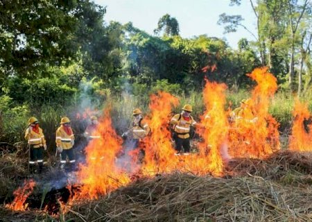 Brasil e Bol&iacute;via treinam equipes em curso in&eacute;dito contra inc&ecirc;ndios no Pantanal