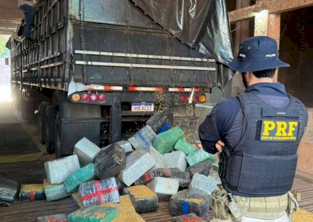 Carga de milho esconde 5,2 toneladas de maconha em rodotrem