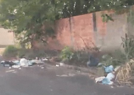 Lixo e mato alto tomam ruas e fazem moradora evitar at&eacute; passeio com cachorro